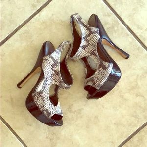 Bebe Heels Snakeskin